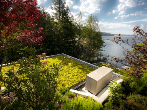 Extensive green roof